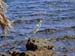 Rock_19